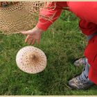 Lynn with big mushroom