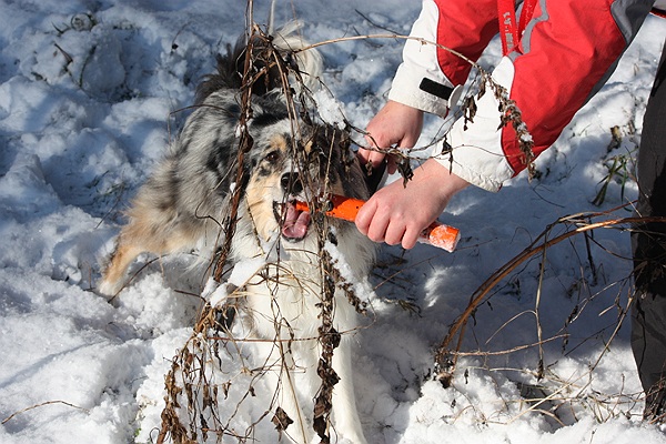 Lynni im Januar 2010