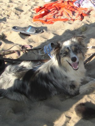 Lynni relaxed am Strand