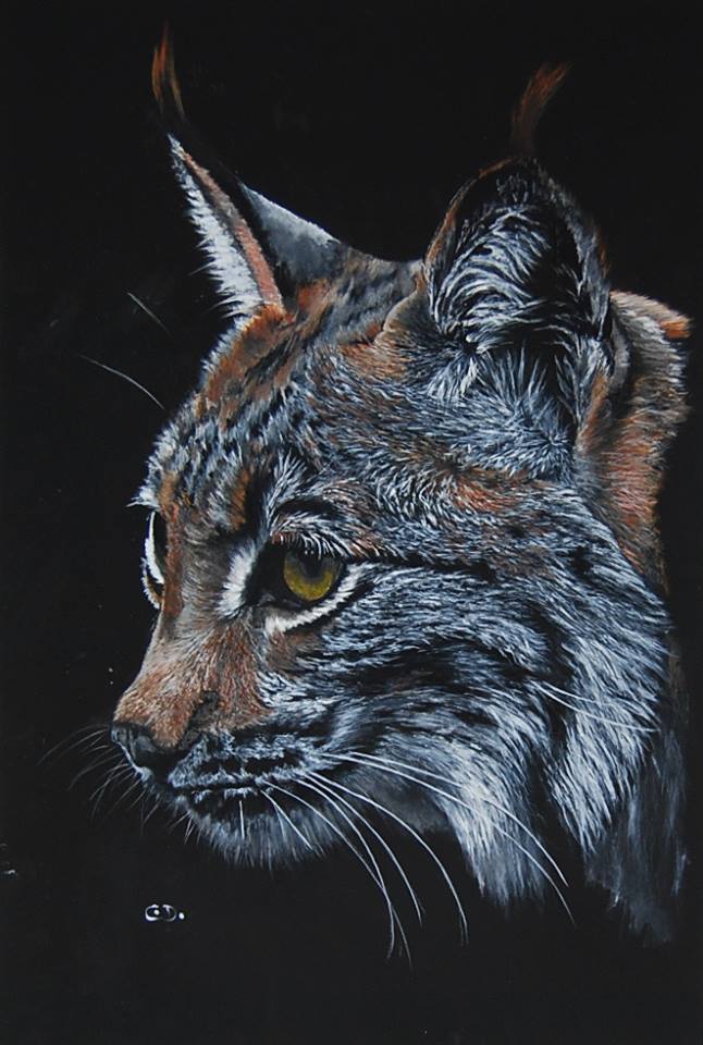 lynx