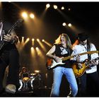 Lynyrd Skynyrd 2010 live