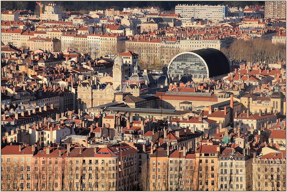 Lyon 03