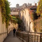 Lyon - Fouvière - Montée des Chazeaux - 01