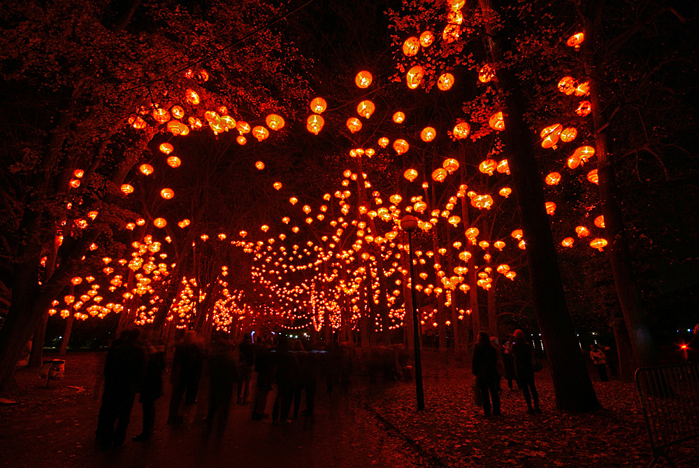 Lyon - Fête des Lumières