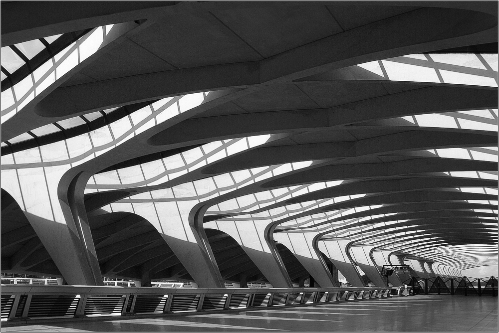 Lyon-Satolas TGV-Station 2