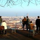 Lyon vu du jardin des curiosités