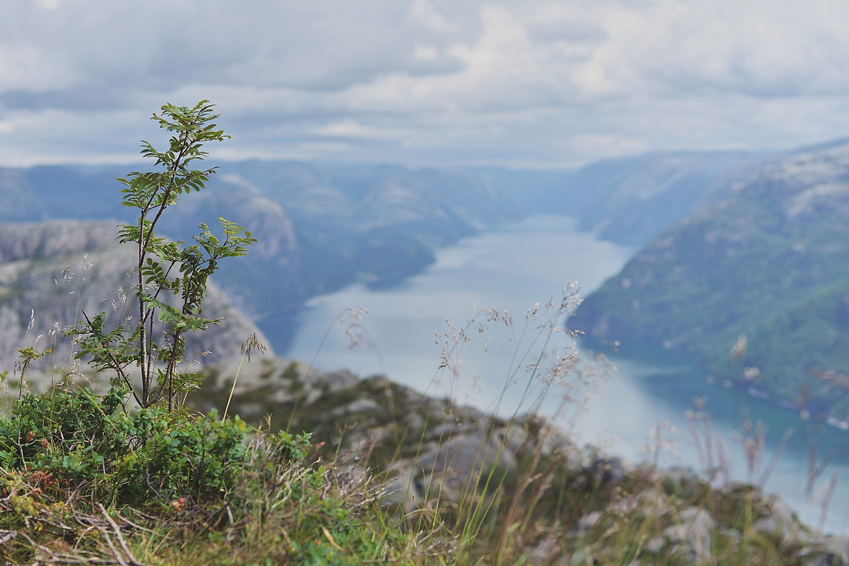 Lysefjord