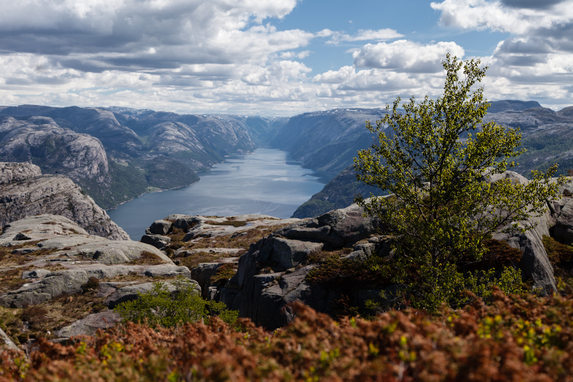 Lysefjord