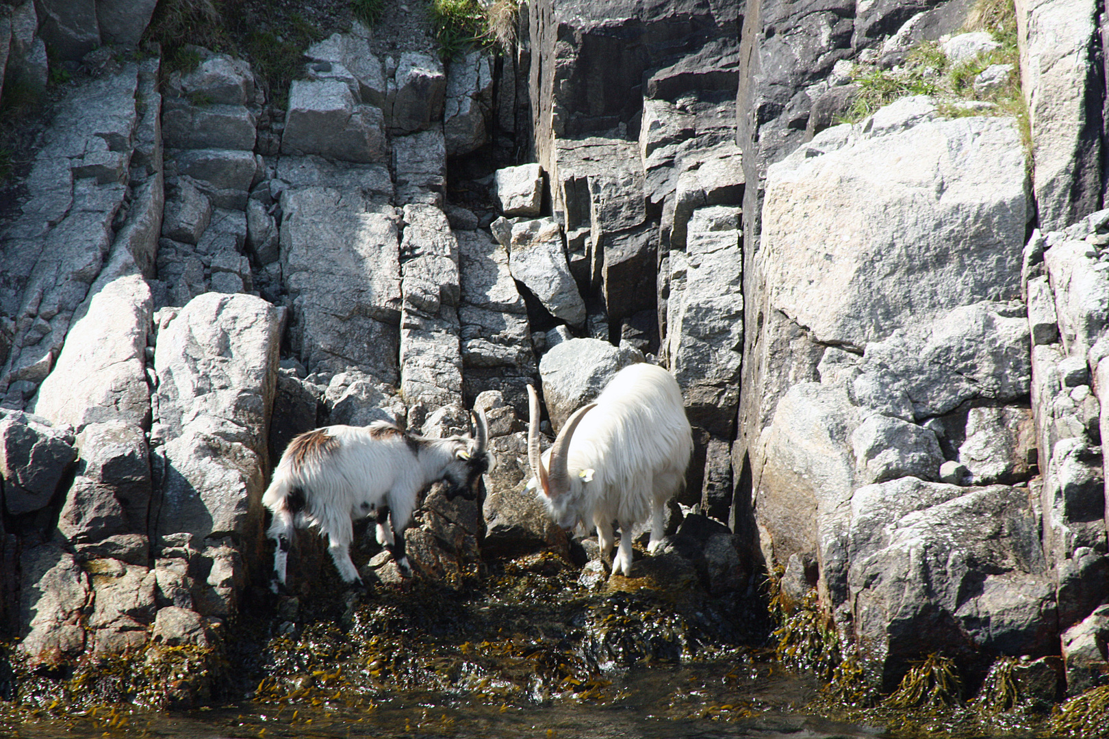 Lysefjord in Norwegen