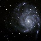 M 101