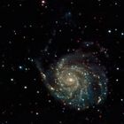 ... M 101 ...