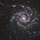 M 101