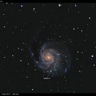 M 101 Remake