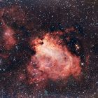 M 17/ Nebulosa del Cisne