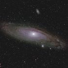 M 31