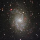 M 33