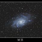 M 33