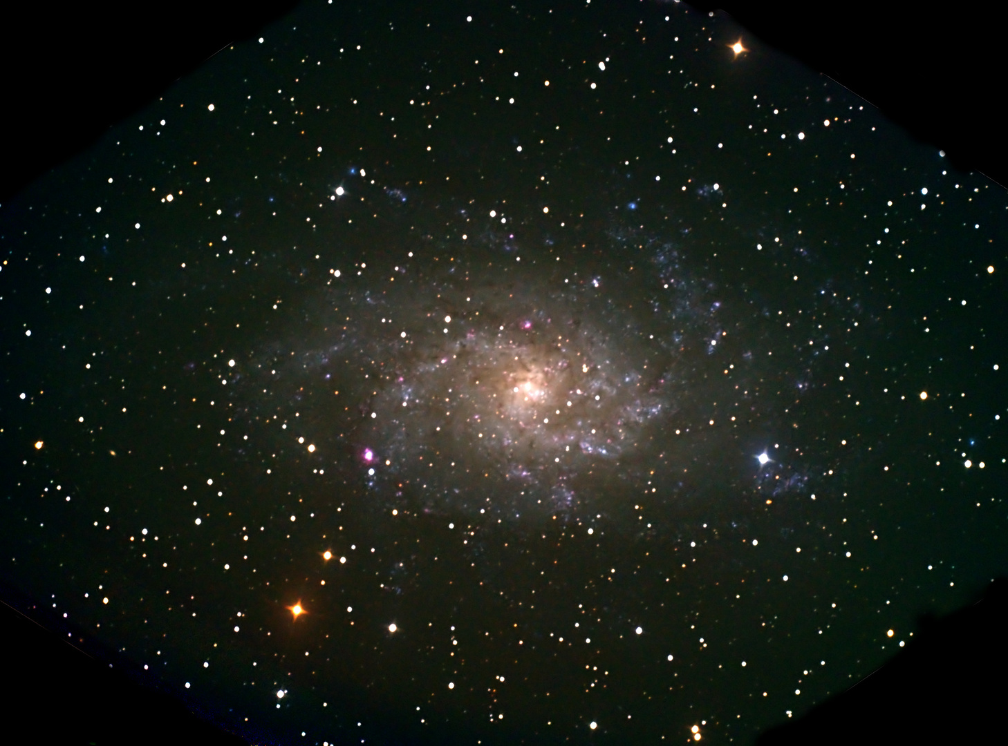 M 33