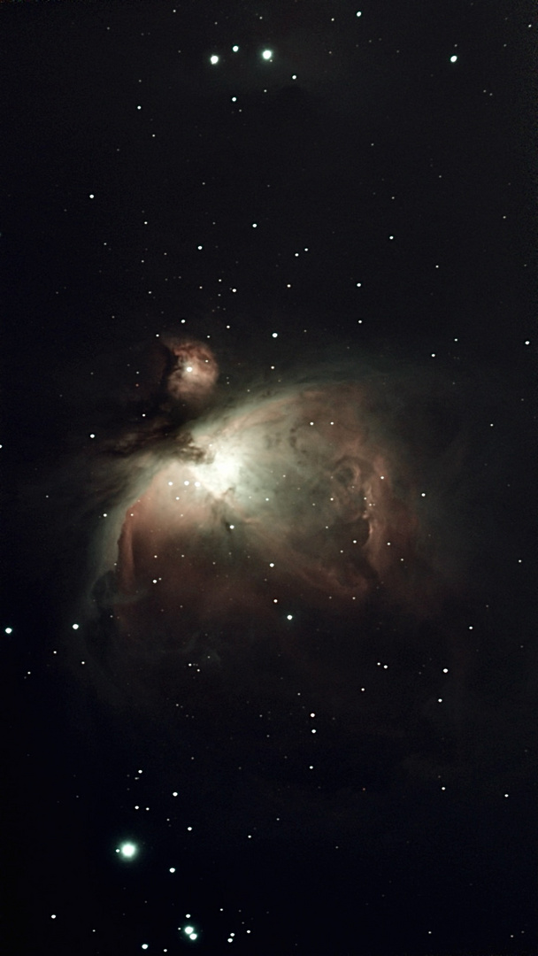 M 42