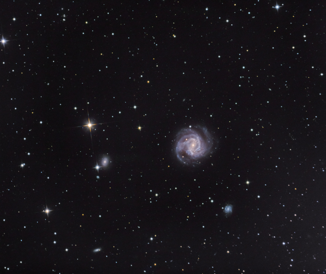 M 61