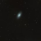 M 64 First Light  mit 10 zoll