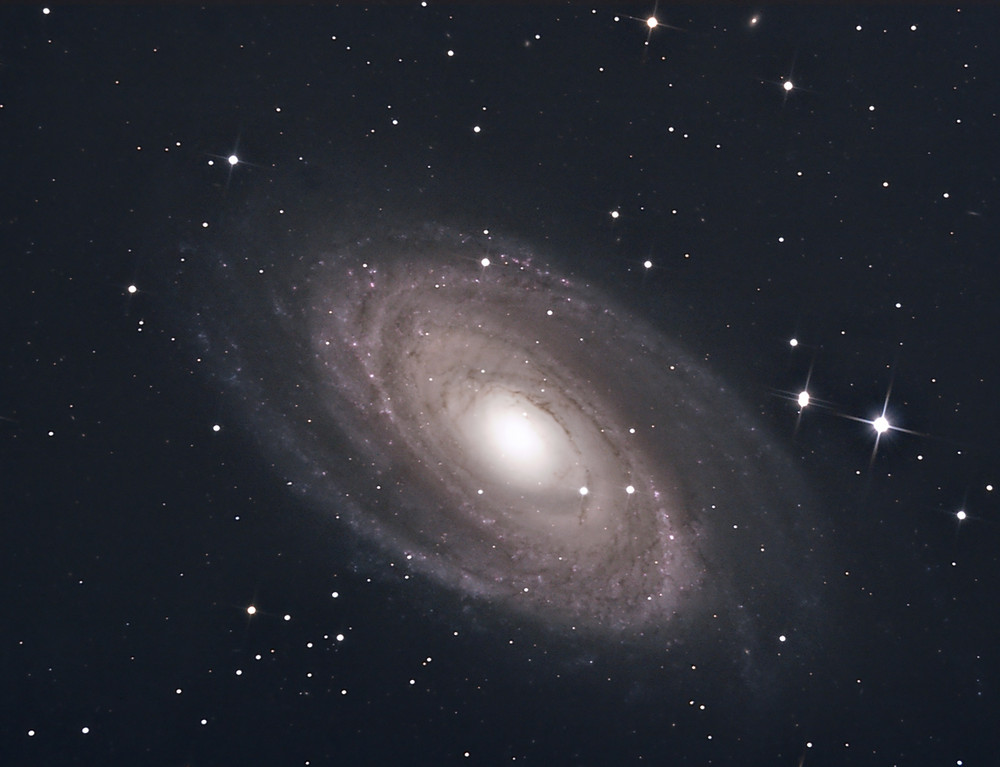 M 81