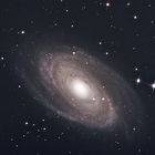 M 81