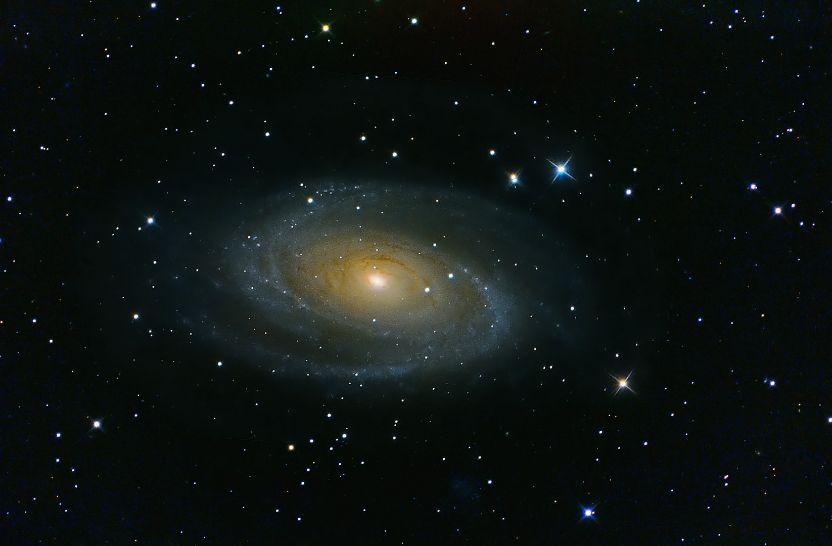 M 81