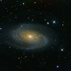 M 81