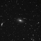 M 81 - Bodes Galaxie