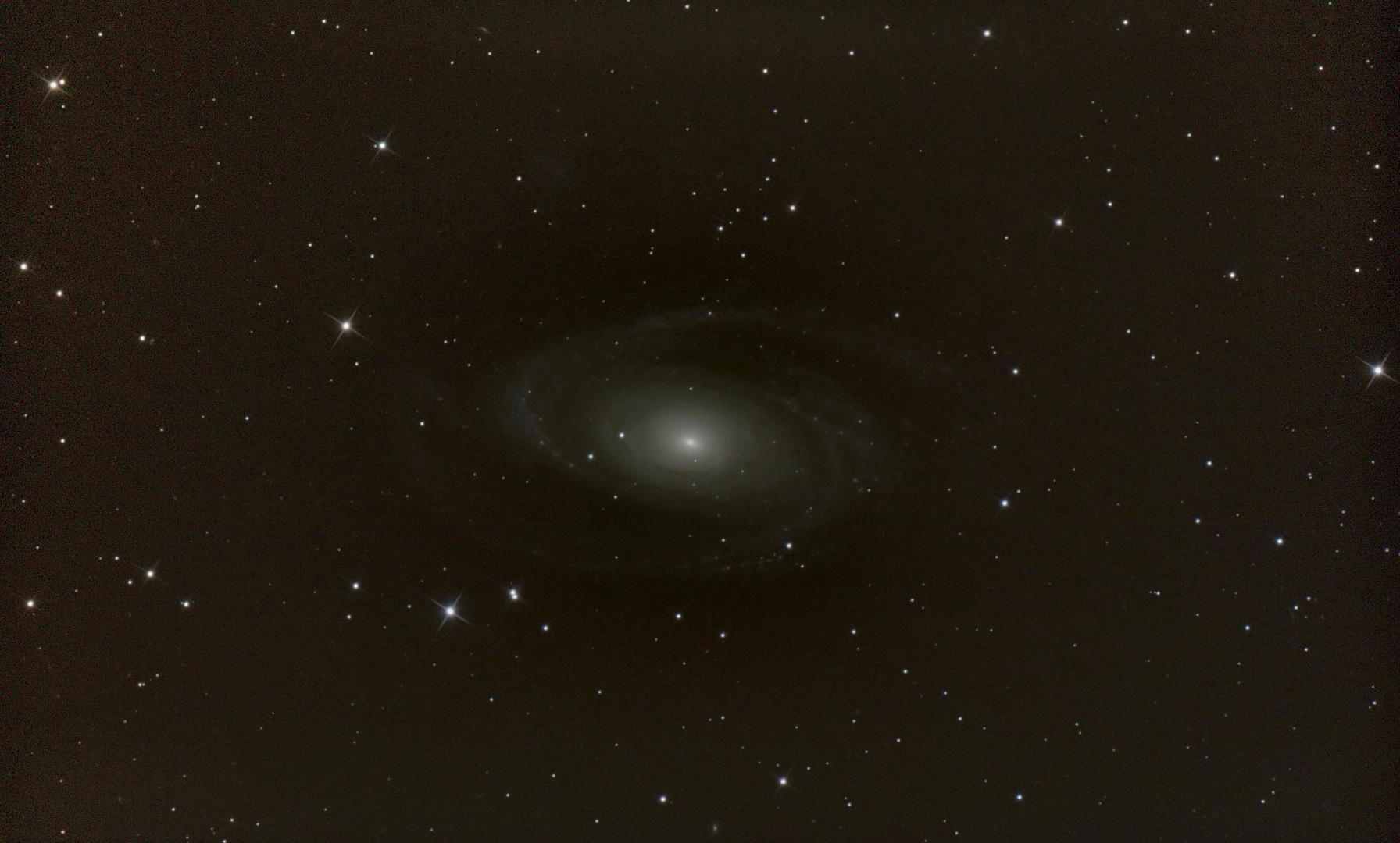 M 81