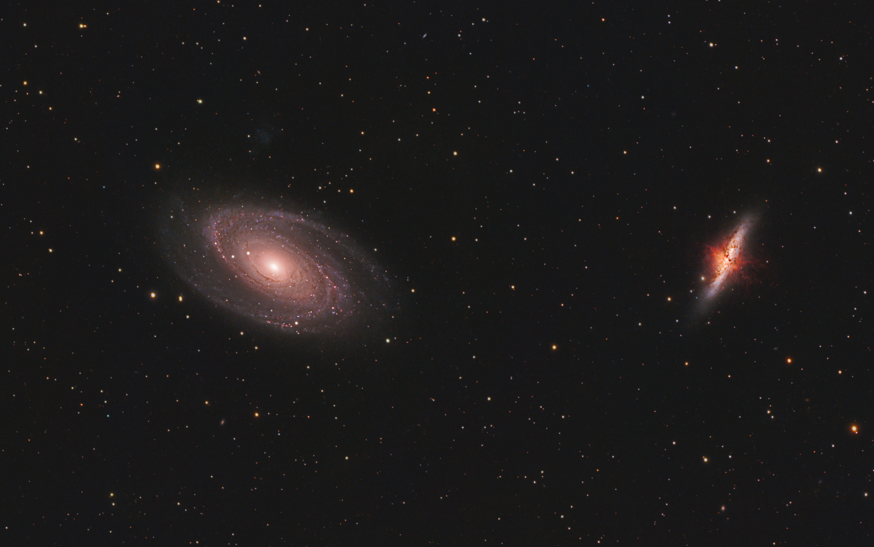 M 81 + M 82 im Sternbild Großer Bär