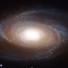 M 81 - Ursa Major