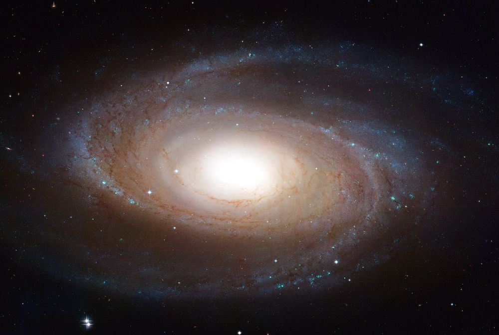 M 81 - Ursa Major