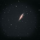 M 82 mit SN 2014J