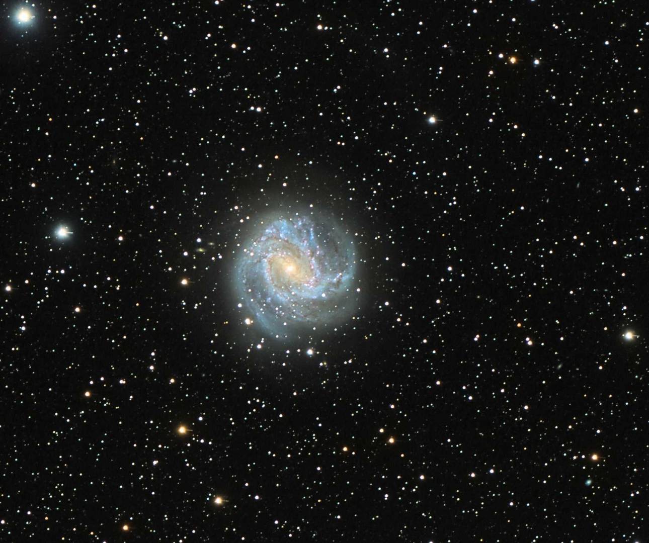 M 83 Überarbeitet  crop