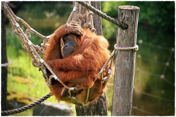 ... M a n i c ... M o n d a y ...