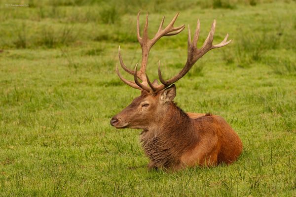 „ m ä c h t i g . p r ä c h t i g “