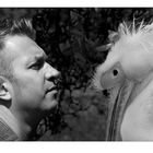 User Profile Photo