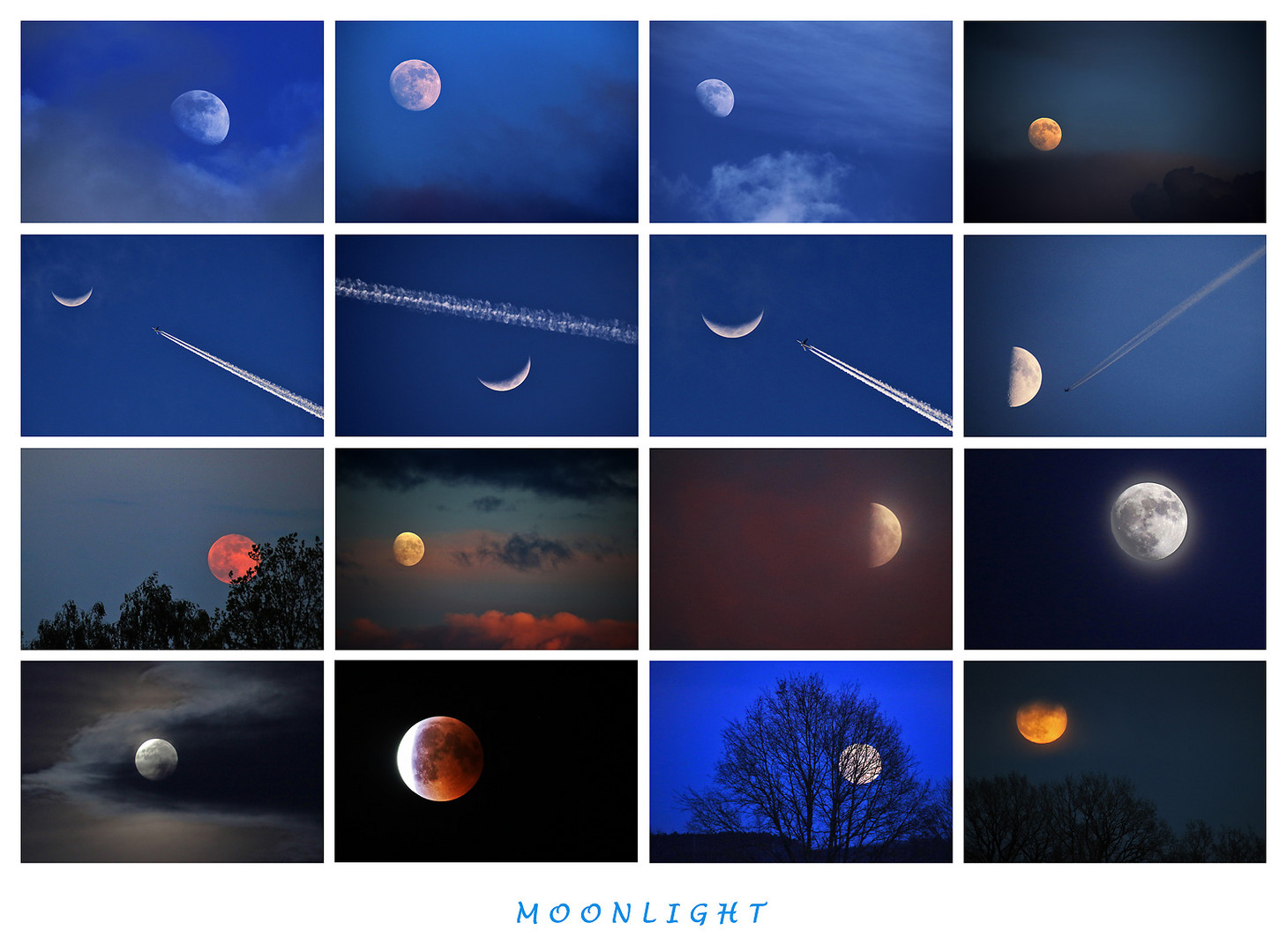 M O O N L I G H T Foto Bild Fotokunst Mondaufnahmen Himmel Universum Bilder Auf Fotocommunity