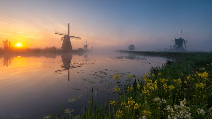 * * * M O R G E N - N E B E L * * *