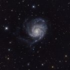 M101