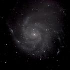 M101