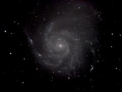 M101