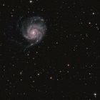 M101