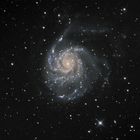 M101