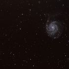 M101 