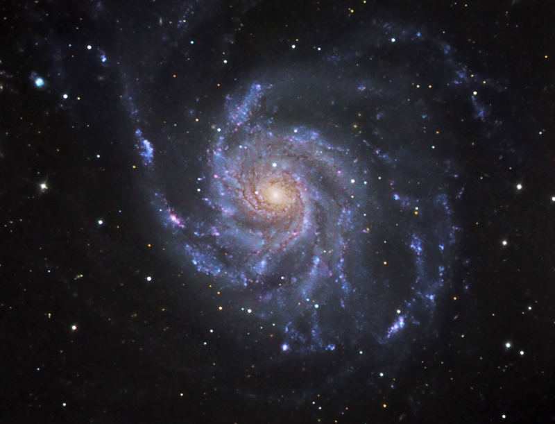 M101