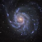 M101