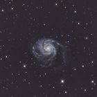 M101